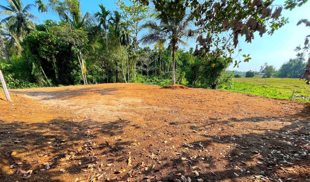 Land for Sale in Horana