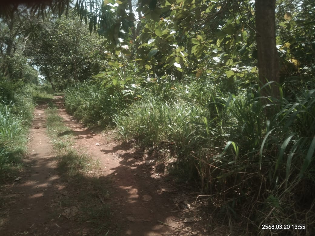 Land for sale in Lunugamwehera