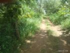 Land for sale in Lunugamwehera