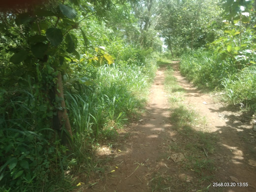 Land for sale in Lunugamwehera