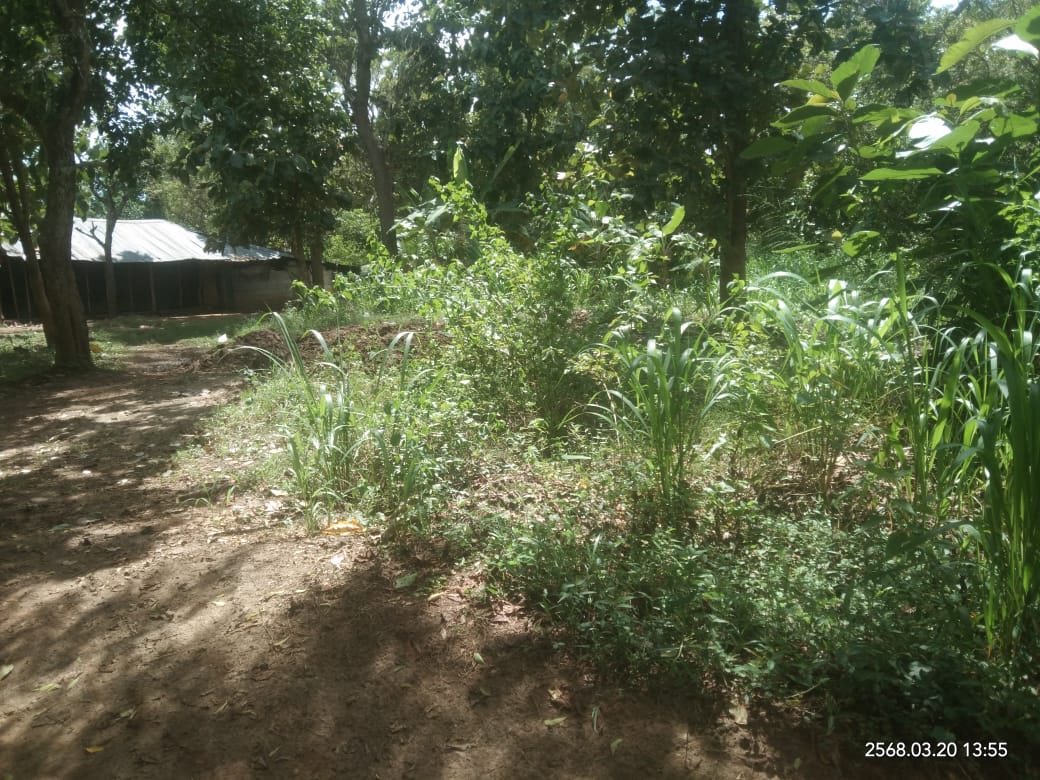 Land for sale in Lunugamwehera