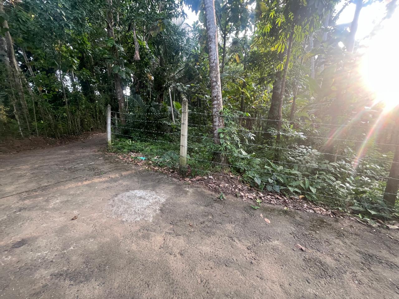 හැලමඩ,ගලිගමුව ප්‍රදේශයේ පර්චස් 61.5ක ඉඩමක් විකිණීමට