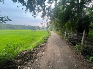 WhatsApp-Image-2026-03-16-at-11.04.29-1