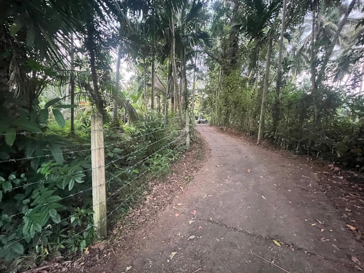 හැලමඩ,ගලිගමුව ප්‍රදේශයේ පර්චස් 61.5ක ඉඩමක් විකිණීමට