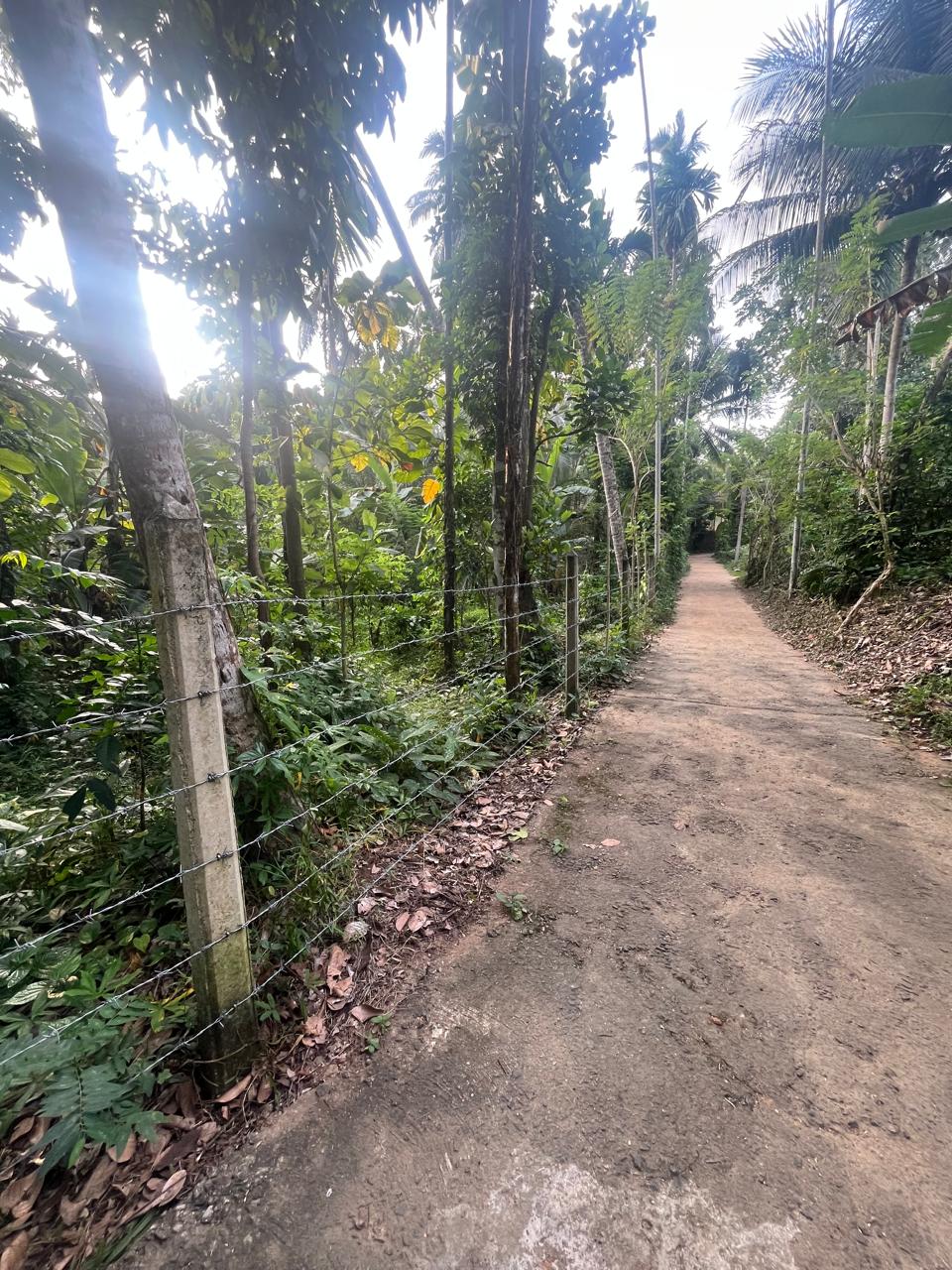 හැලමඩ,ගලිගමුව ප්‍රදේශයේ පර්චස් 61.5ක ඉඩමක් විකිණීමට