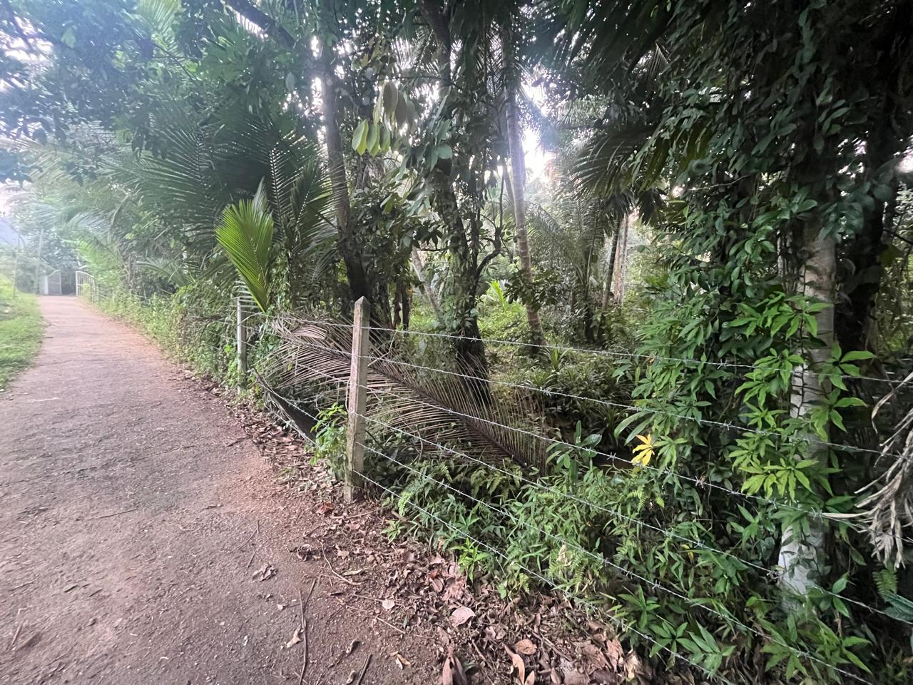 හැලමඩ,ගලිගමුව ප්‍රදේශයේ පර්චස් 61.5ක ඉඩමක් විකිණීමට