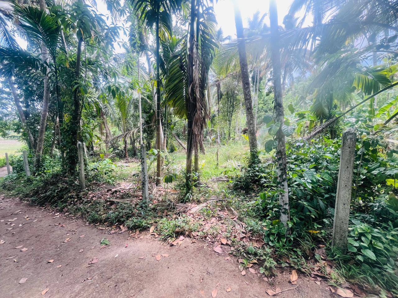 හැලමඩ,ගලිගමුව ප්‍රදේශයේ පර්චස් 61.5ක ඉඩමක් විකිණීමට