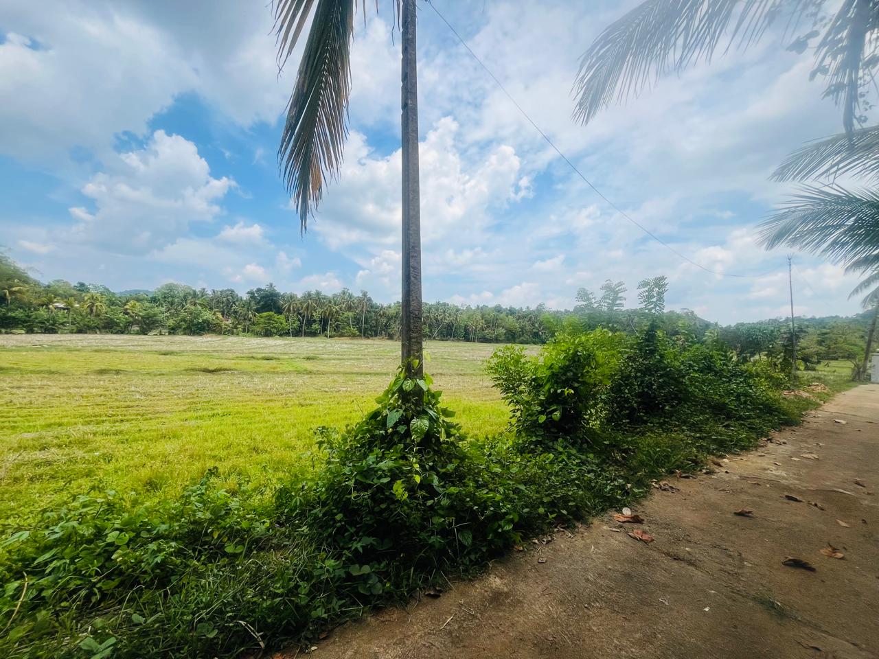 හැලමඩ,ගලිගමුව ප්‍රදේශයේ පර්චස් 61.5ක ඉඩමක් විකිණීමට