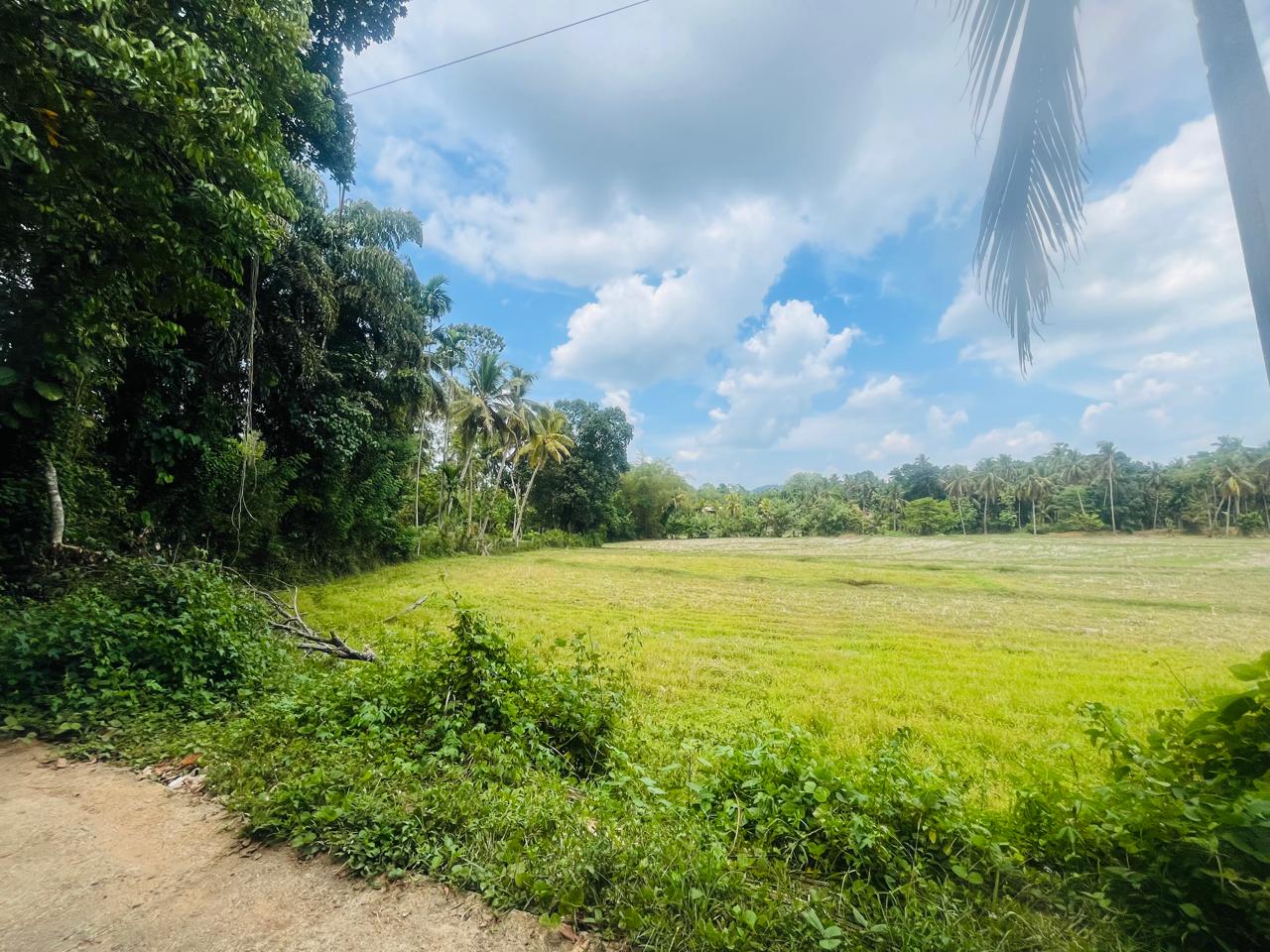 හැලමඩ,ගලිගමුව ප්‍රදේශයේ පර්චස් 61.5ක ඉඩමක් විකිණීමට