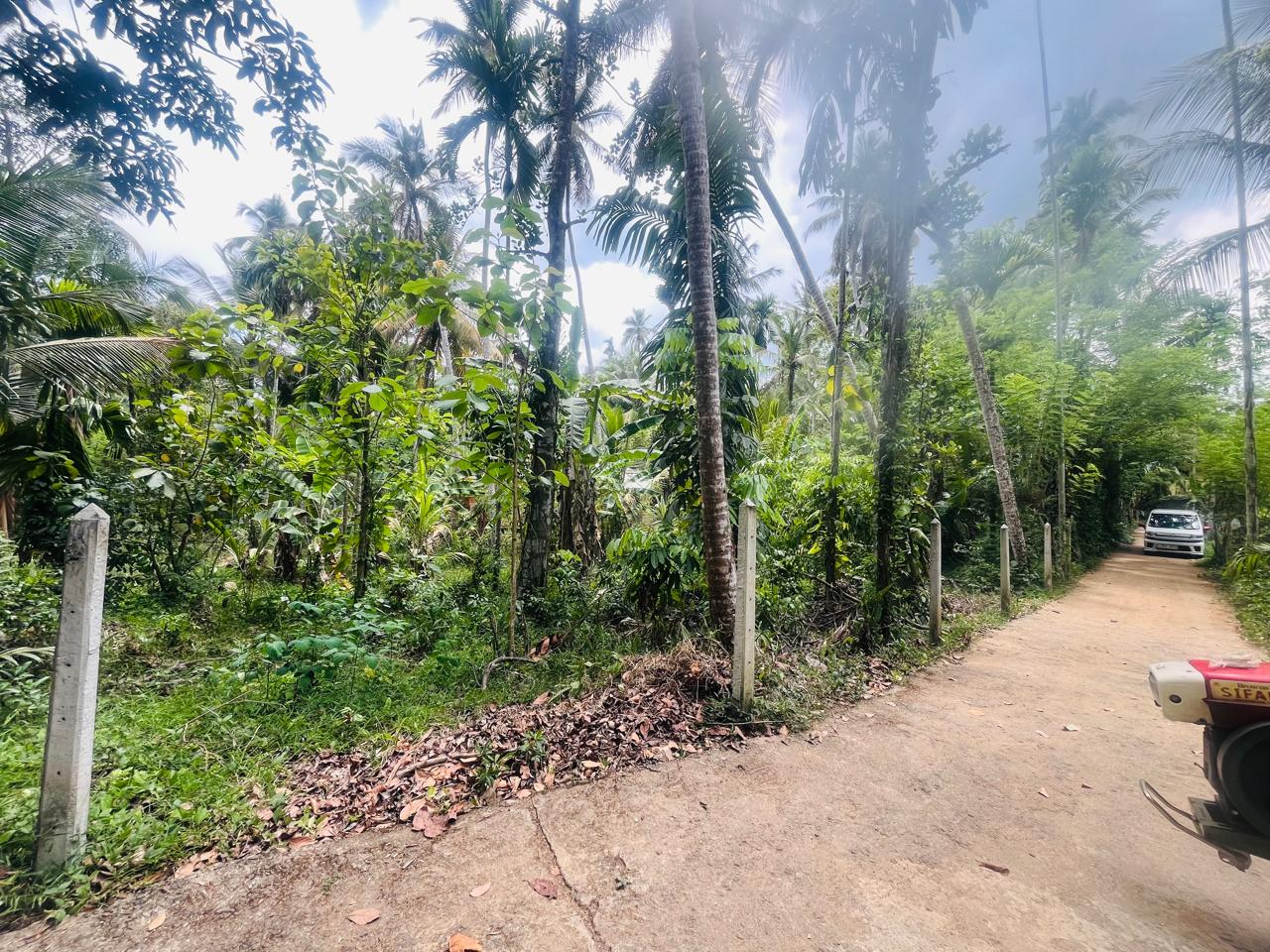 හැලමඩ,ගලිගමුව ප්‍රදේශයේ පර්චස් 61.5ක ඉඩමක් විකිණීමට