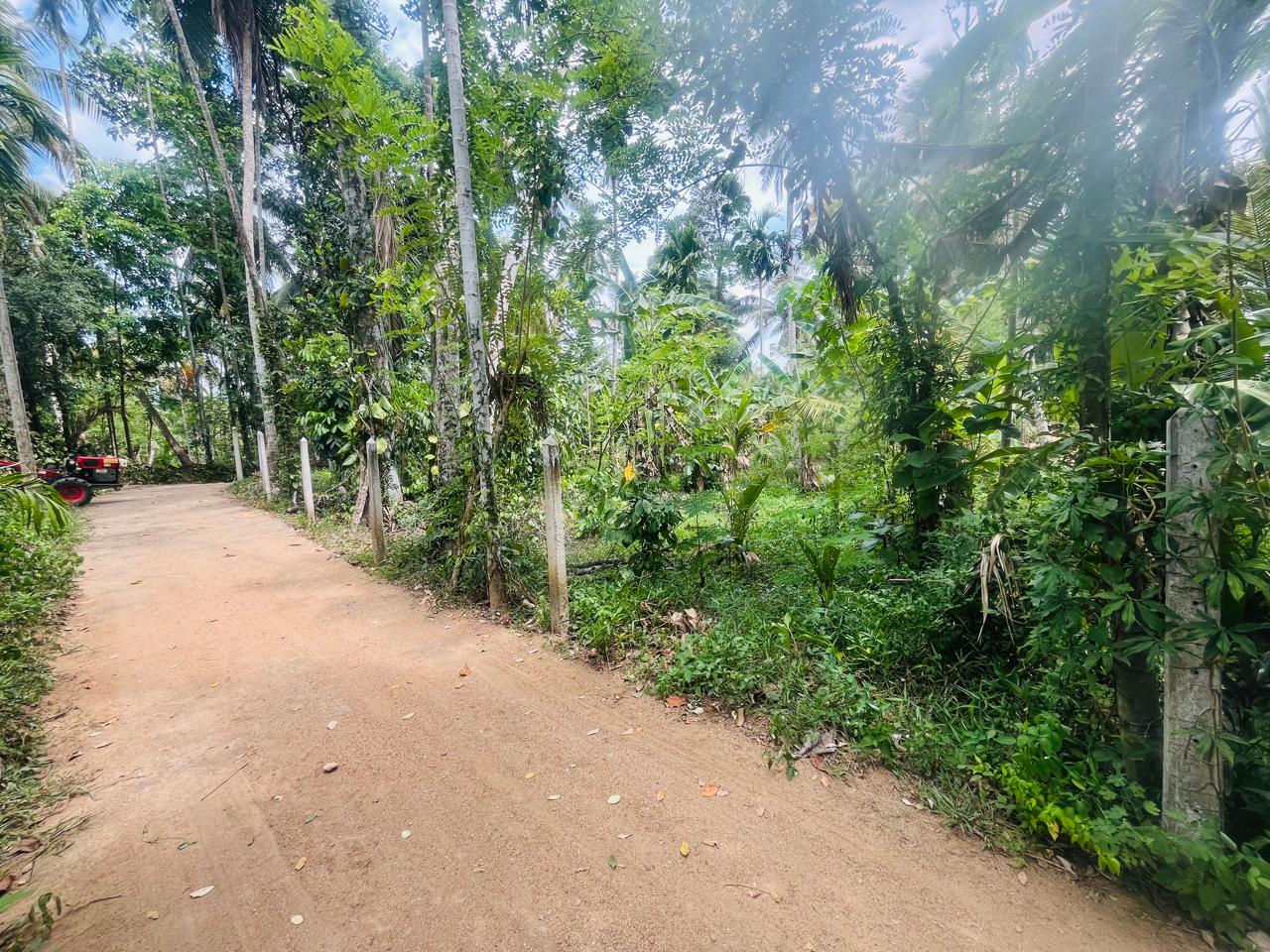 හැලමඩ,ගලිගමුව ප්‍රදේශයේ පර්චස් 61.5ක ඉඩමක් විකිණීමට