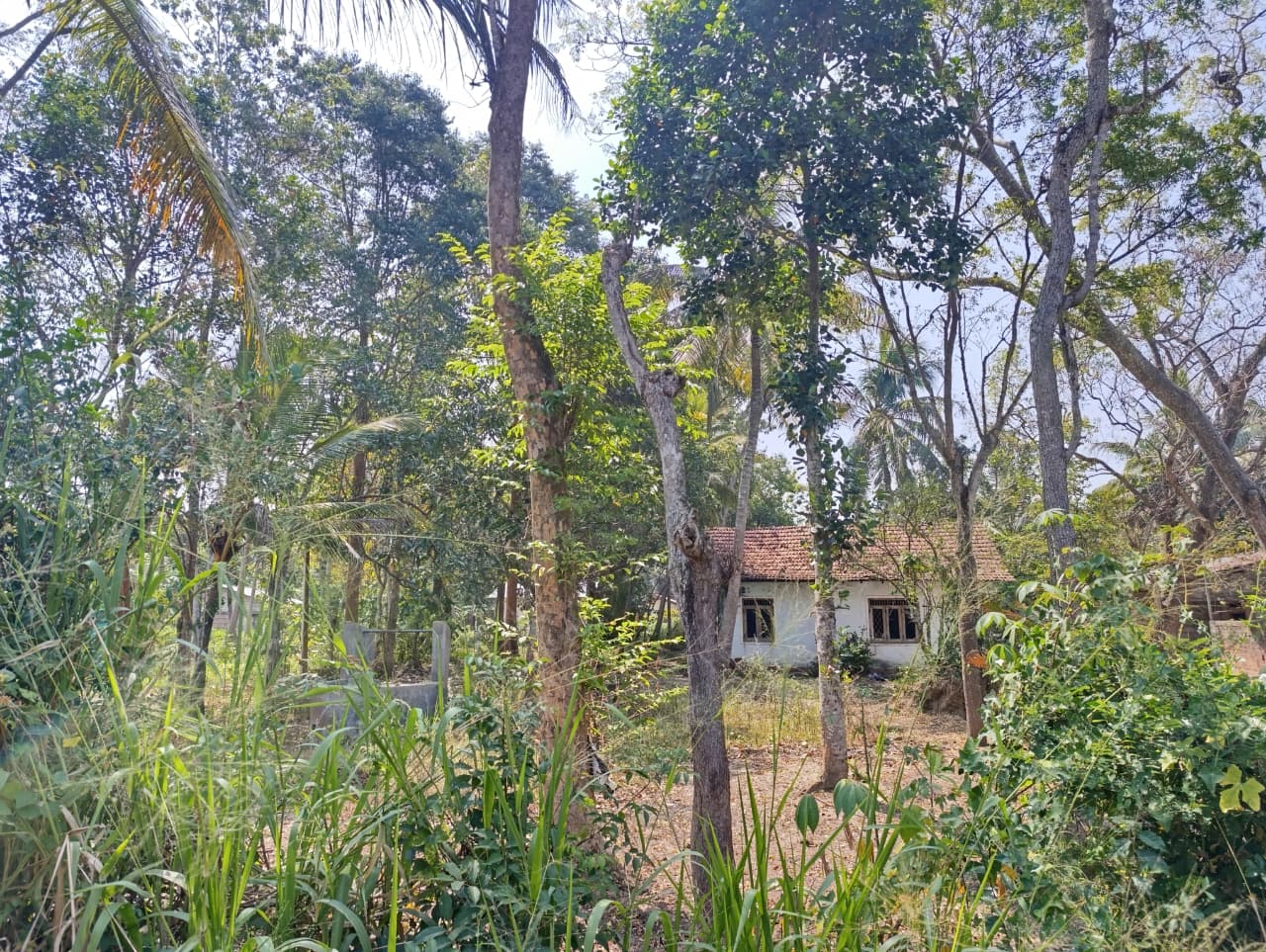 40 P Land with House Sale in Nikawaratiya