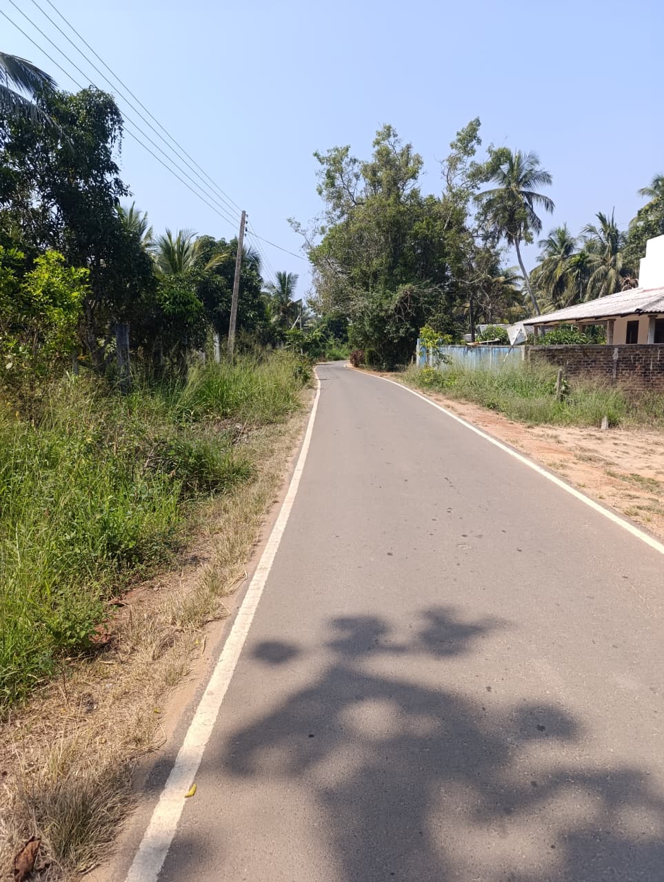40 P Land with House Sale in Nikawaratiya