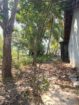 40 P Land with House Sale in Nikawaratiya