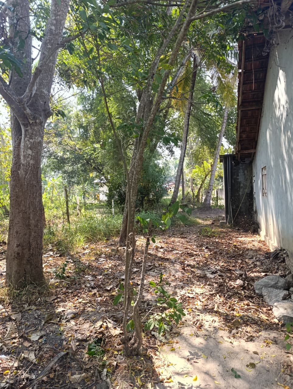 40 P Land with House Sale in Nikawaratiya