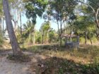 40 P Land with House Sale in Nikawaratiya