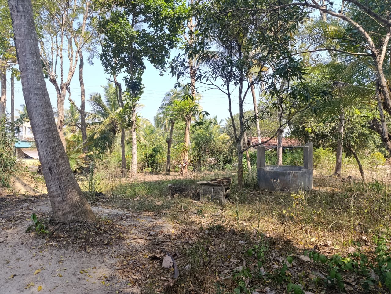 40 P Land with House Sale in Nikawaratiya
