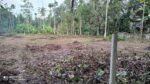 Residential Land for Sale in Bandaragama