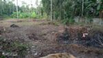 Residential Land for Sale in Bandaragama