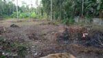 Residential Land for Sale in Bandaragama