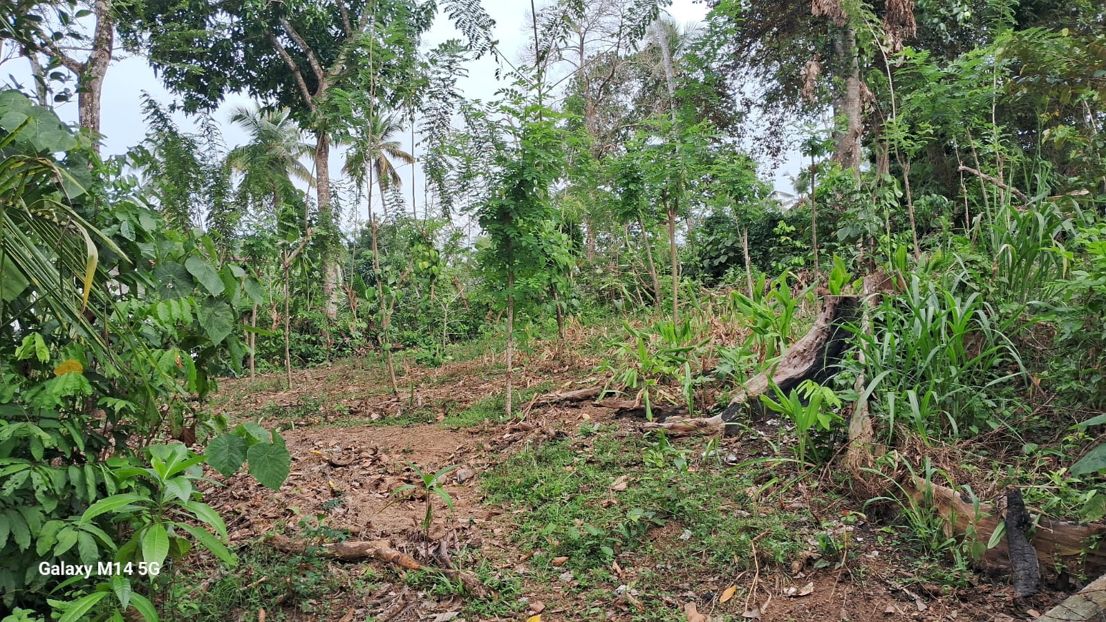 Land for Sale in Matara