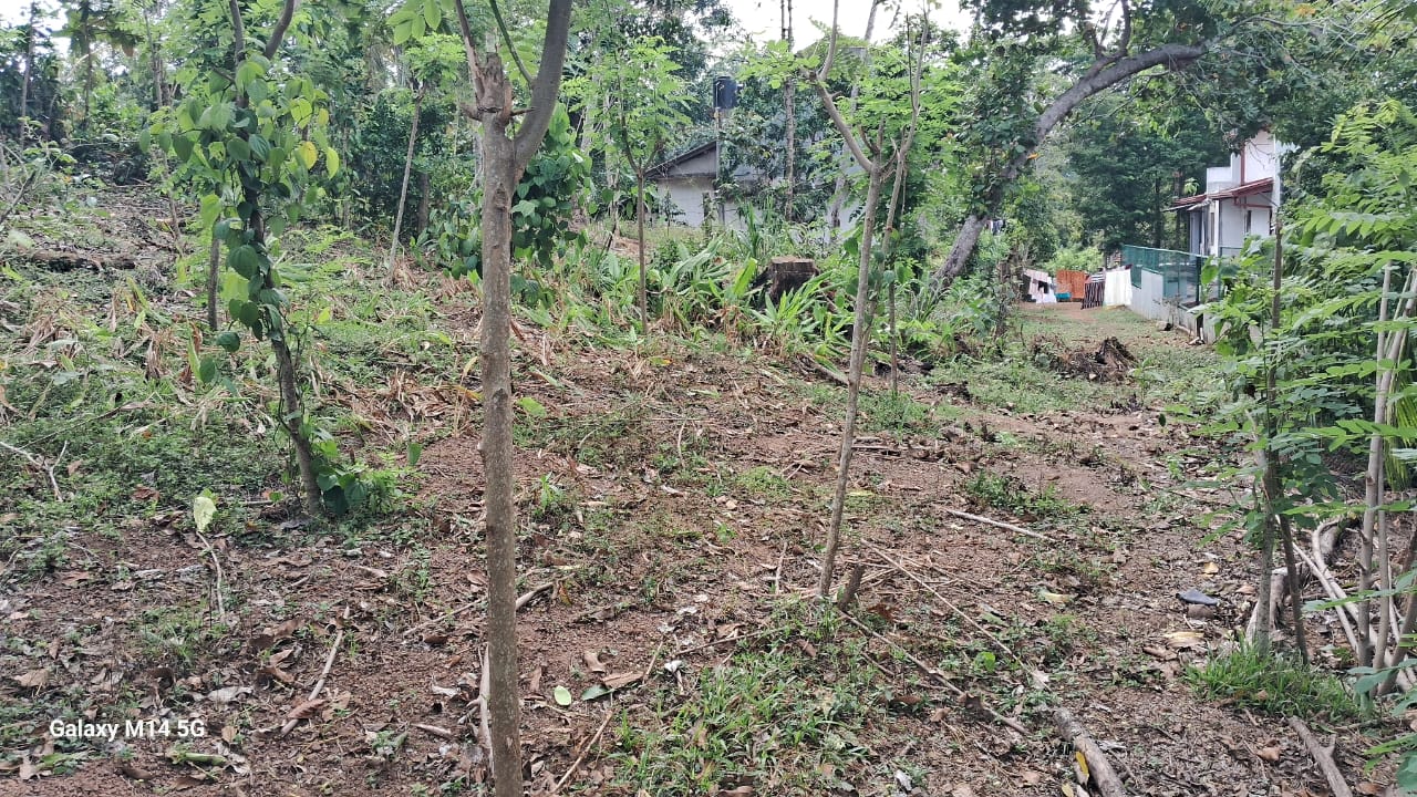 Land for Sale in Matara