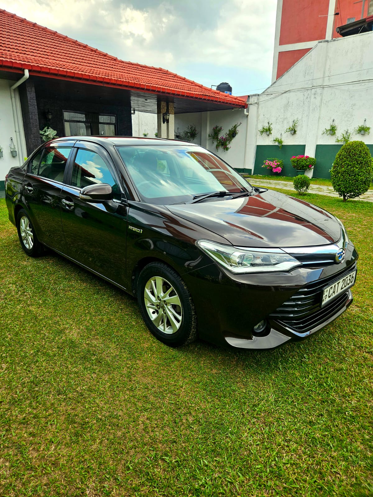 Toyota Axio G Grade 2015