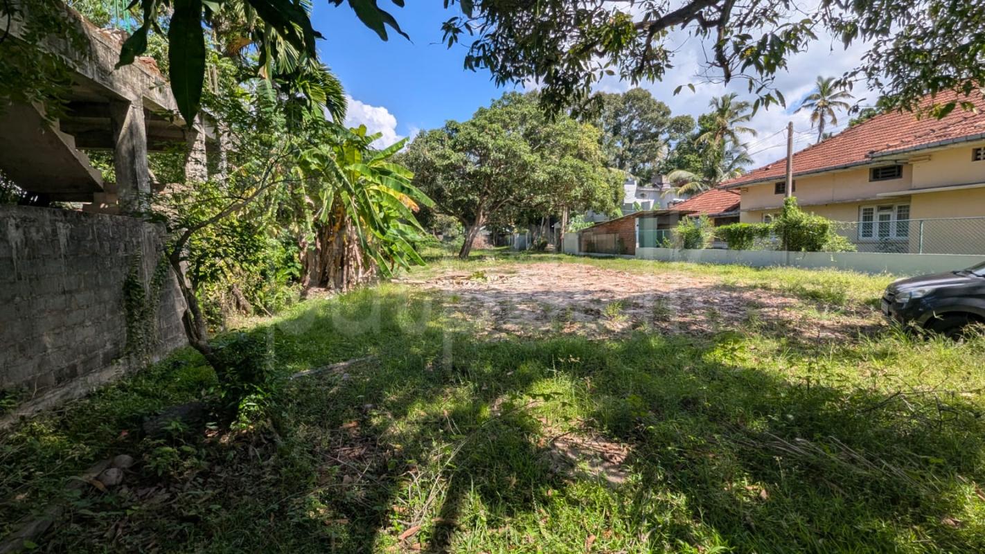 Residential Land for Sale in Negombo