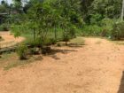 Land With House For Sale In Puwakpitiya
