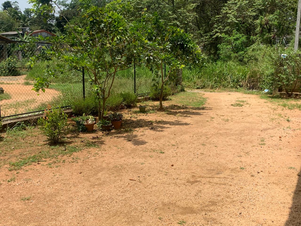 Land With House For Sale In Puwakpitiya
