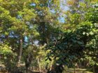 Architect-Designed Luxury House for Sale — Maspotha Kurunegala