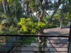 Two Storied Residential House with 18 Perch Land in Thalapathpitiya