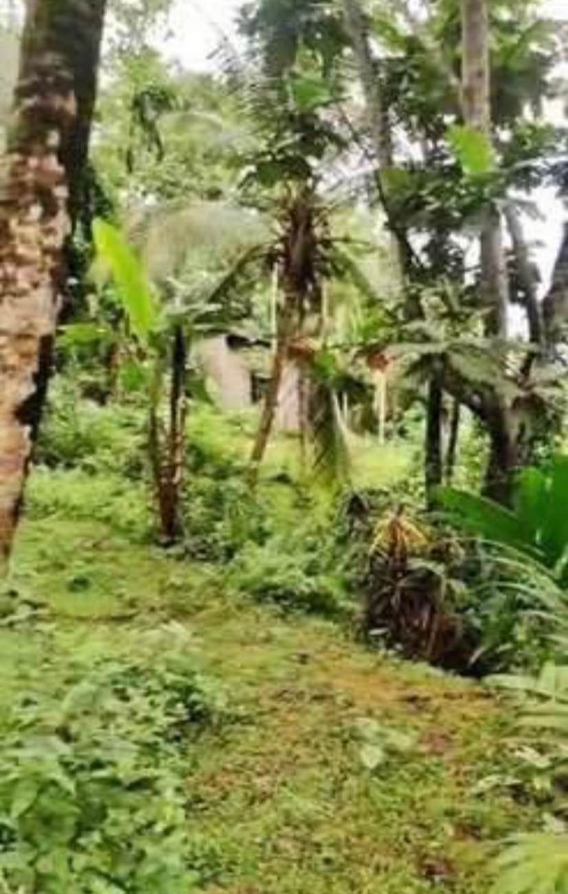 Land for Sale in Kahathuduwa