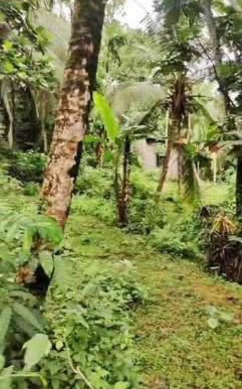 Land for Sale in Kahathuduwa