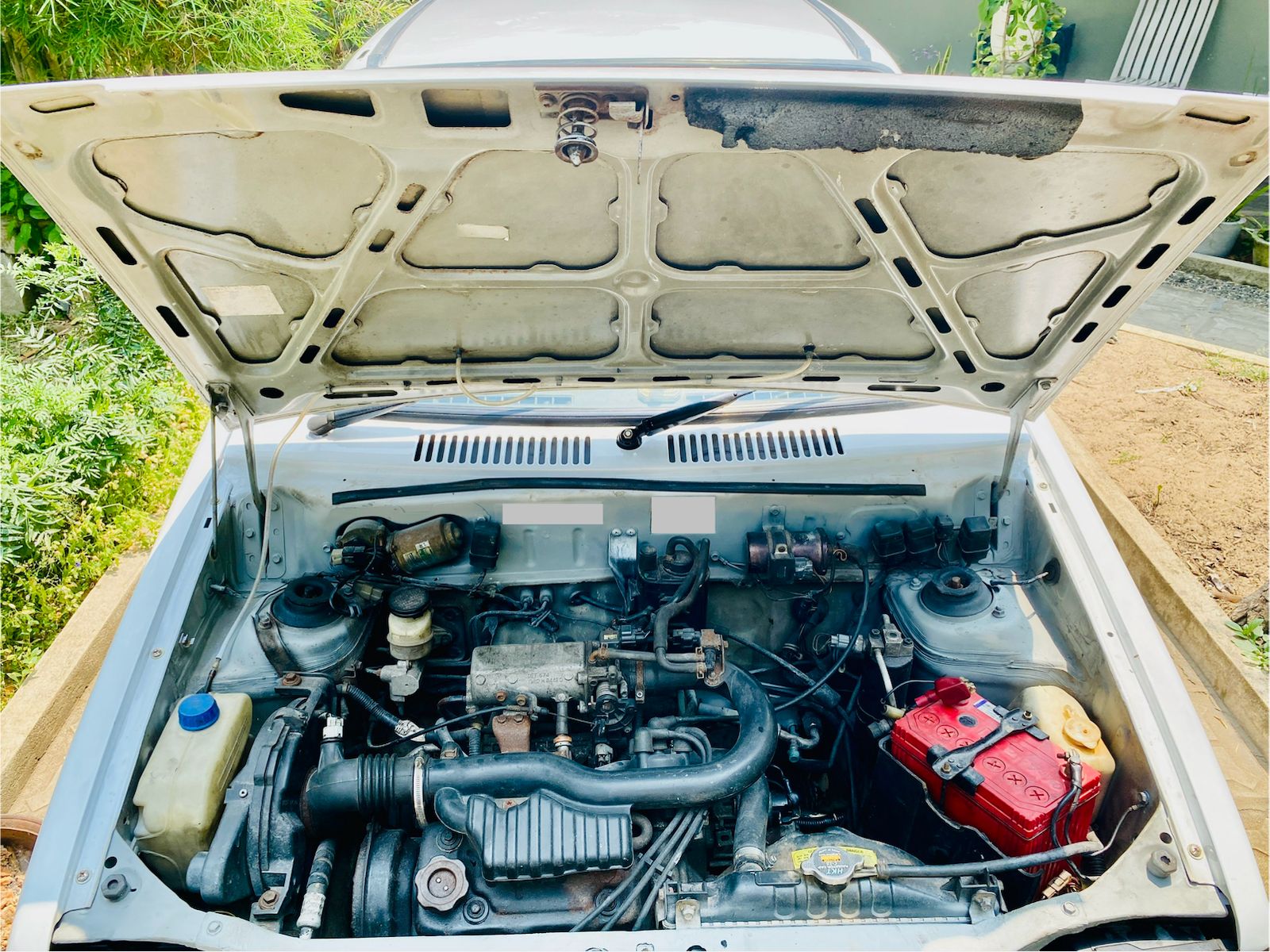 Maruti Suzuki 800 2005