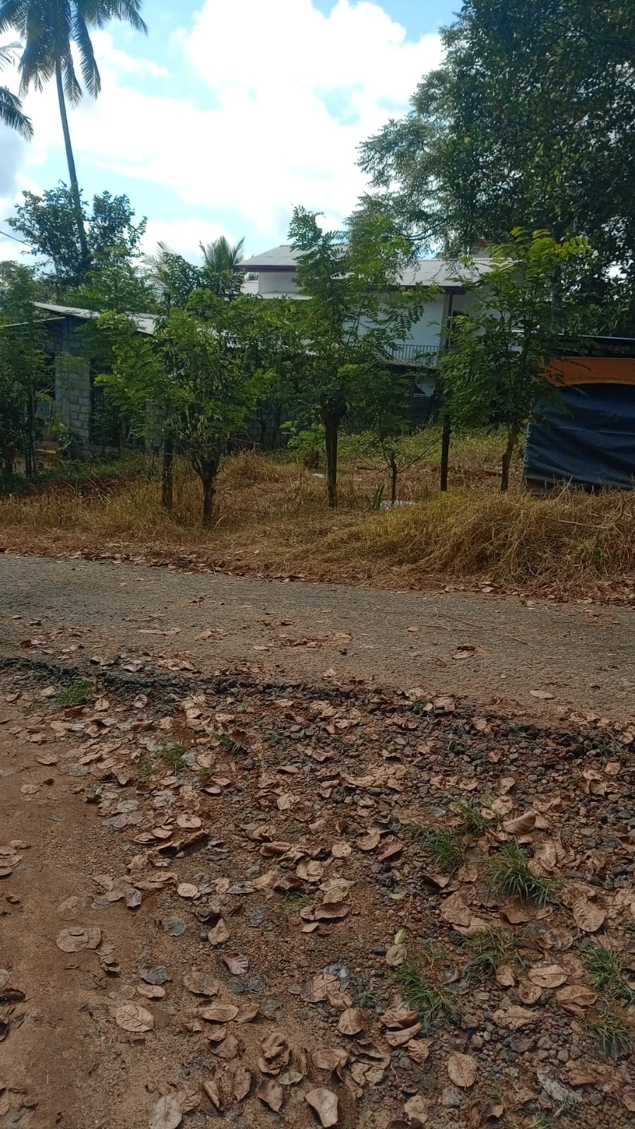 Land For Sale In Matale