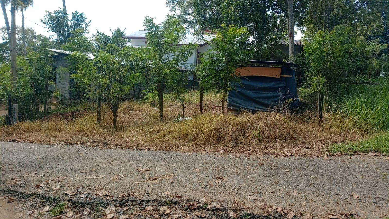Land For Sale In Matale