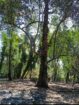 Land For Sale Wadduwa
