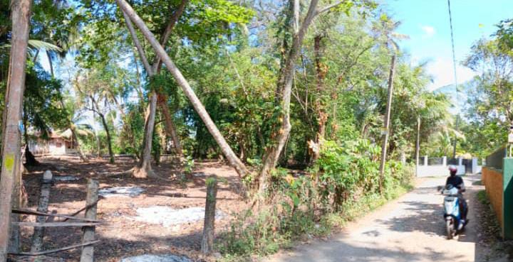 Land For Sale Wadduwa
