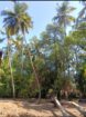 Land For Sale Wadduwa