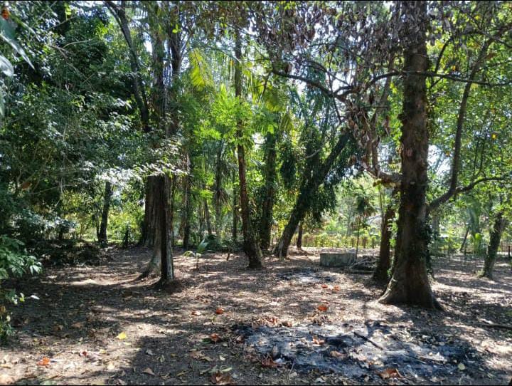 Land For Sale Wadduwa