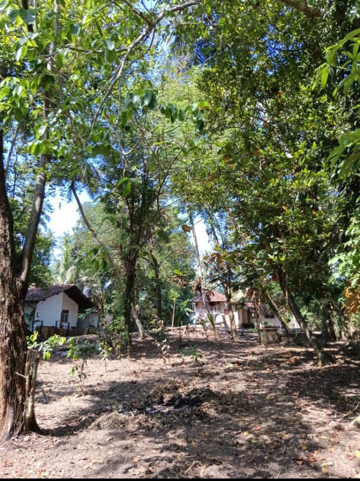 Land For Sale Wadduwa