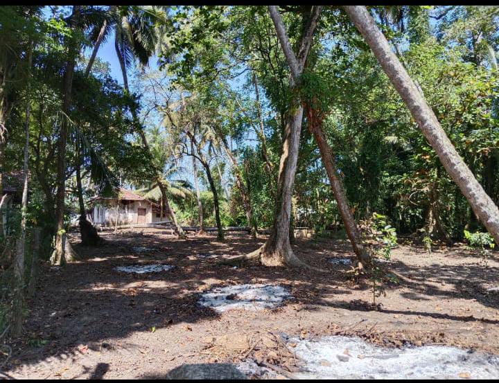 Land For Sale Wadduwa