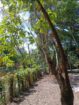 Land For Sale Wadduwa