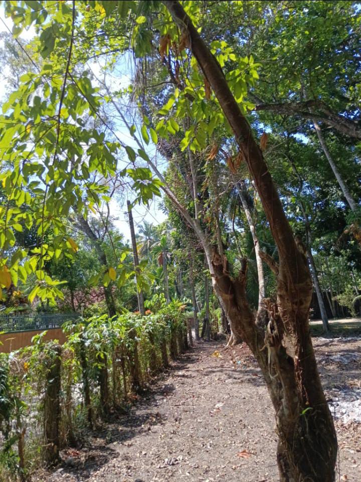 Land For Sale Wadduwa