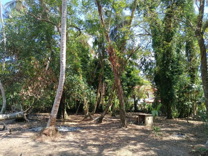 Land For Sale Wadduwa