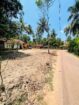 Land for Sale Negambo