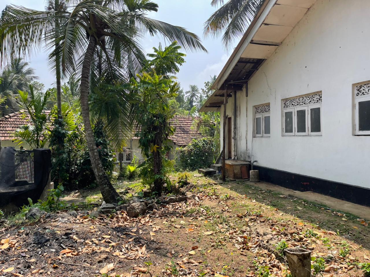 🏡 URGENT SALE – PRIME PROPERTY IN KURUNEGALA! 🔥