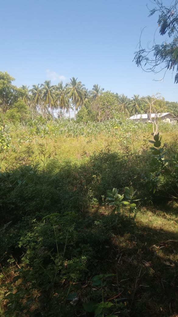 Nilaveli Beachside Commercial Land For Sale – Gopalapurum