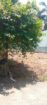 9.7p Land for Sale in Kalalgoda Road